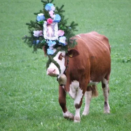 Blasihof *