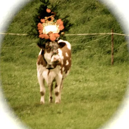 לינה וארוחת בוקר Blasihof Angerberg (Tyrol)