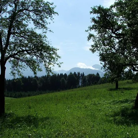 Blasihof Frühstückspension *