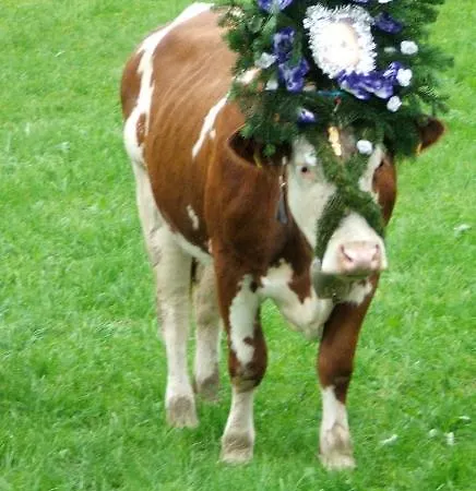 Blasihof *